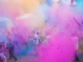 Running in color 2019 Coralie Daudin00233
